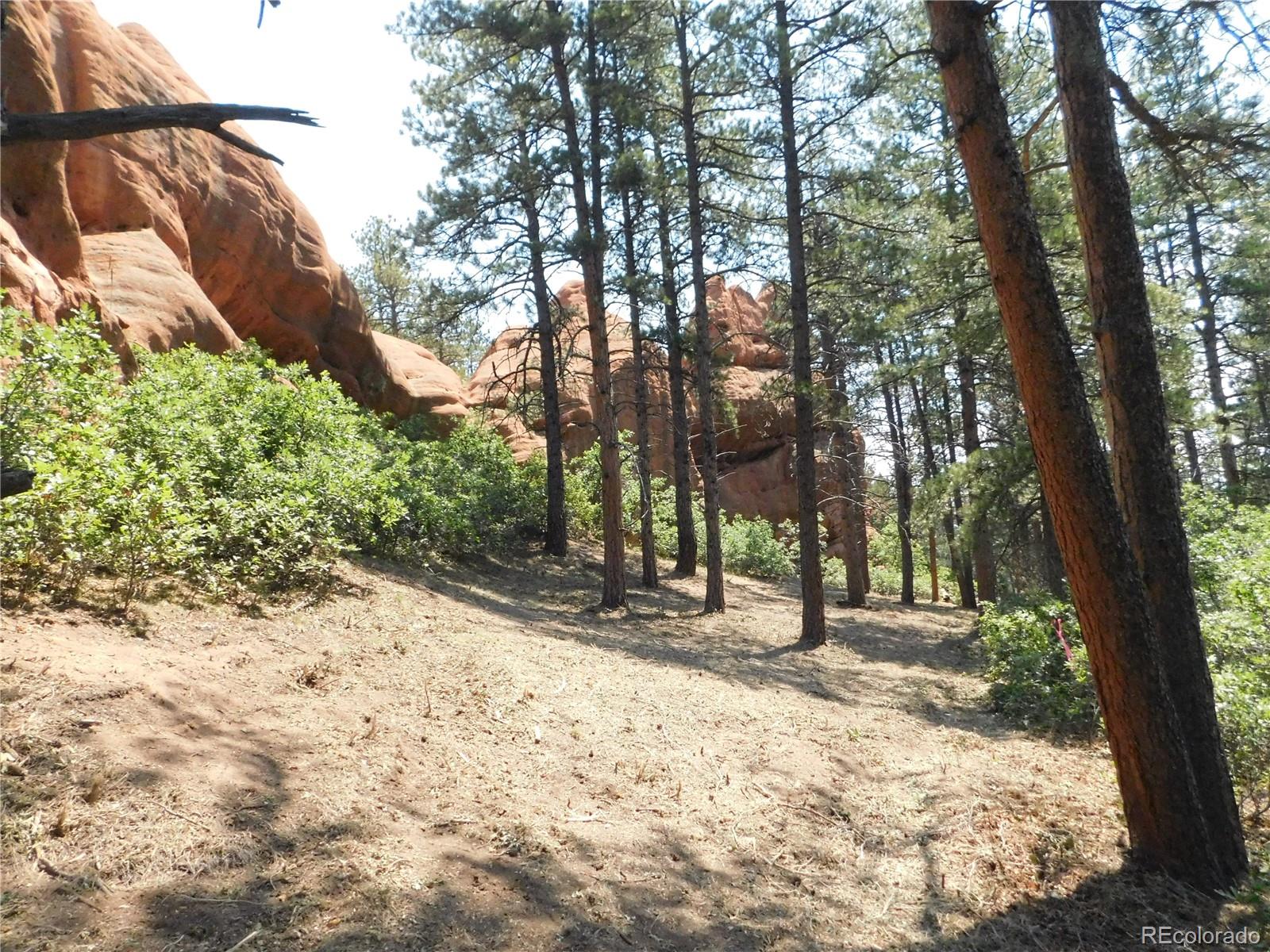 8202 Bannock Dr, Larkspur, CO 80118