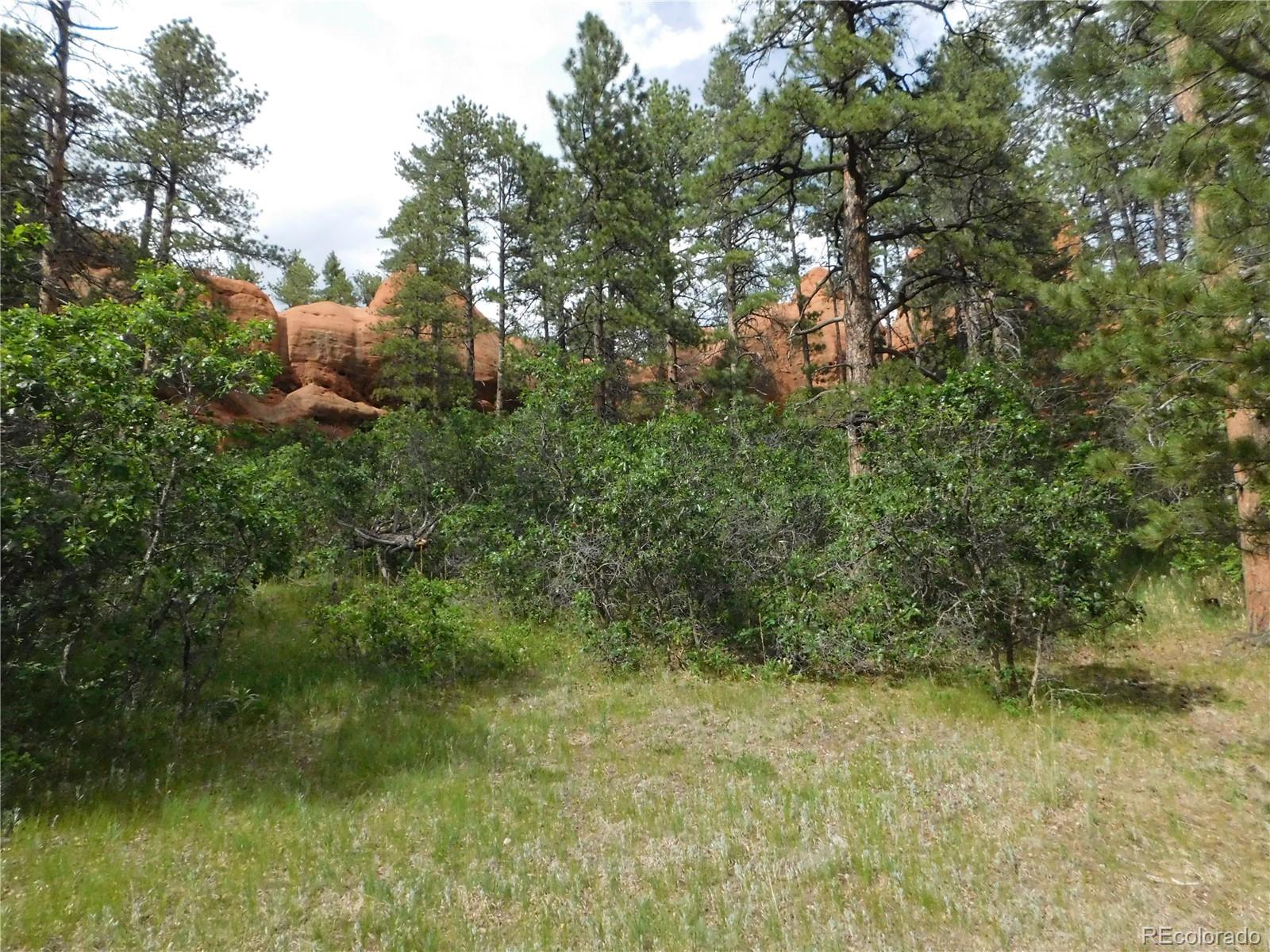 8202 Bannock Dr, Larkspur, CO 80118
