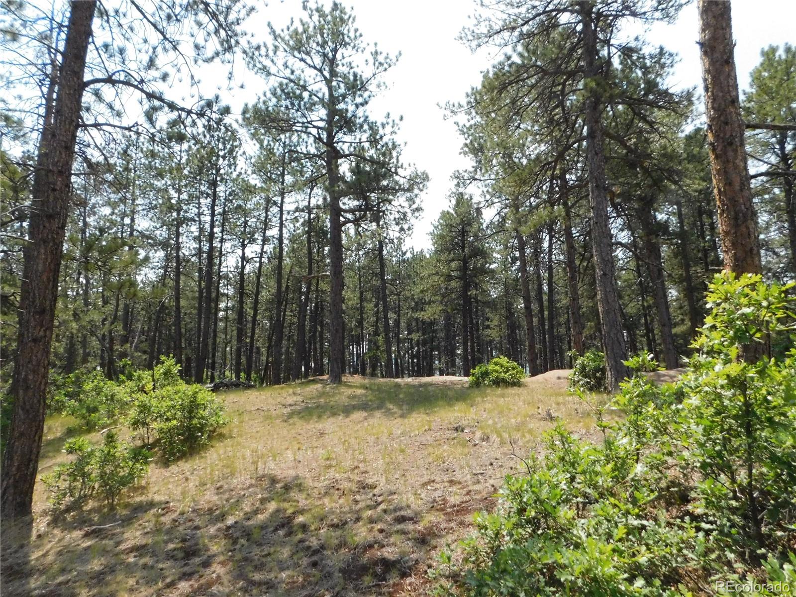 4480 Delaware Dr, Larkspur, CO 80118