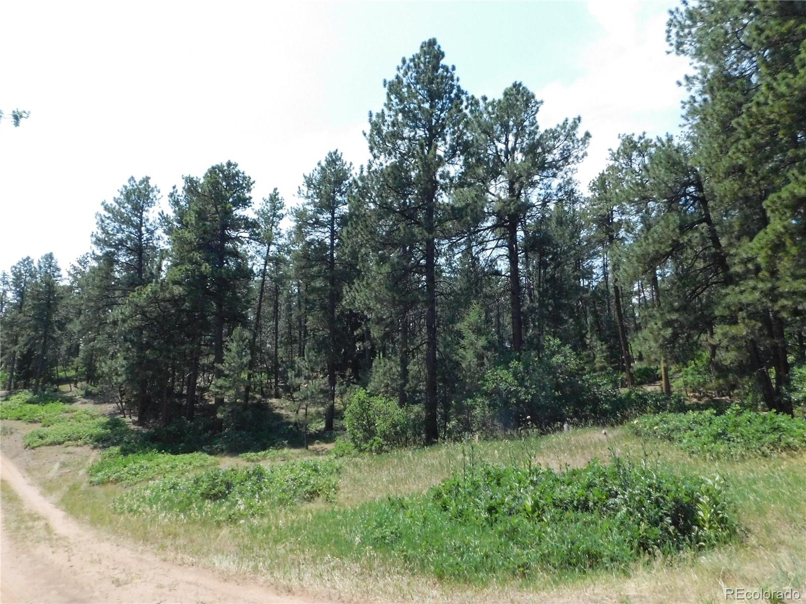 4480 Delaware Dr, Larkspur, CO 80118