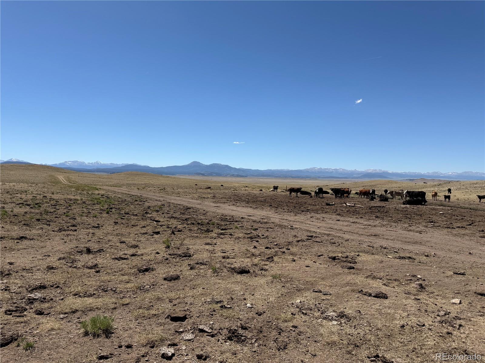 3216 Coweta Trl, Hartsel, CO 80449