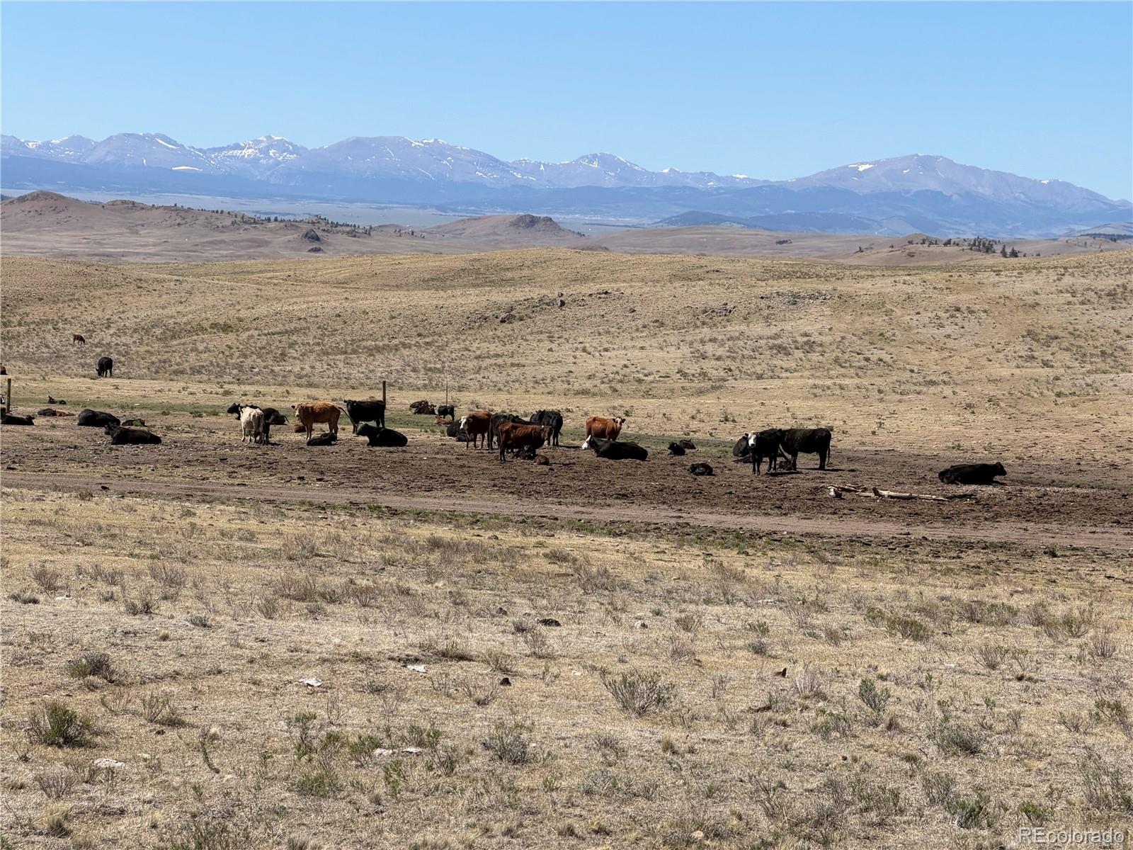 3216 Coweta Trl, Hartsel, CO 80449