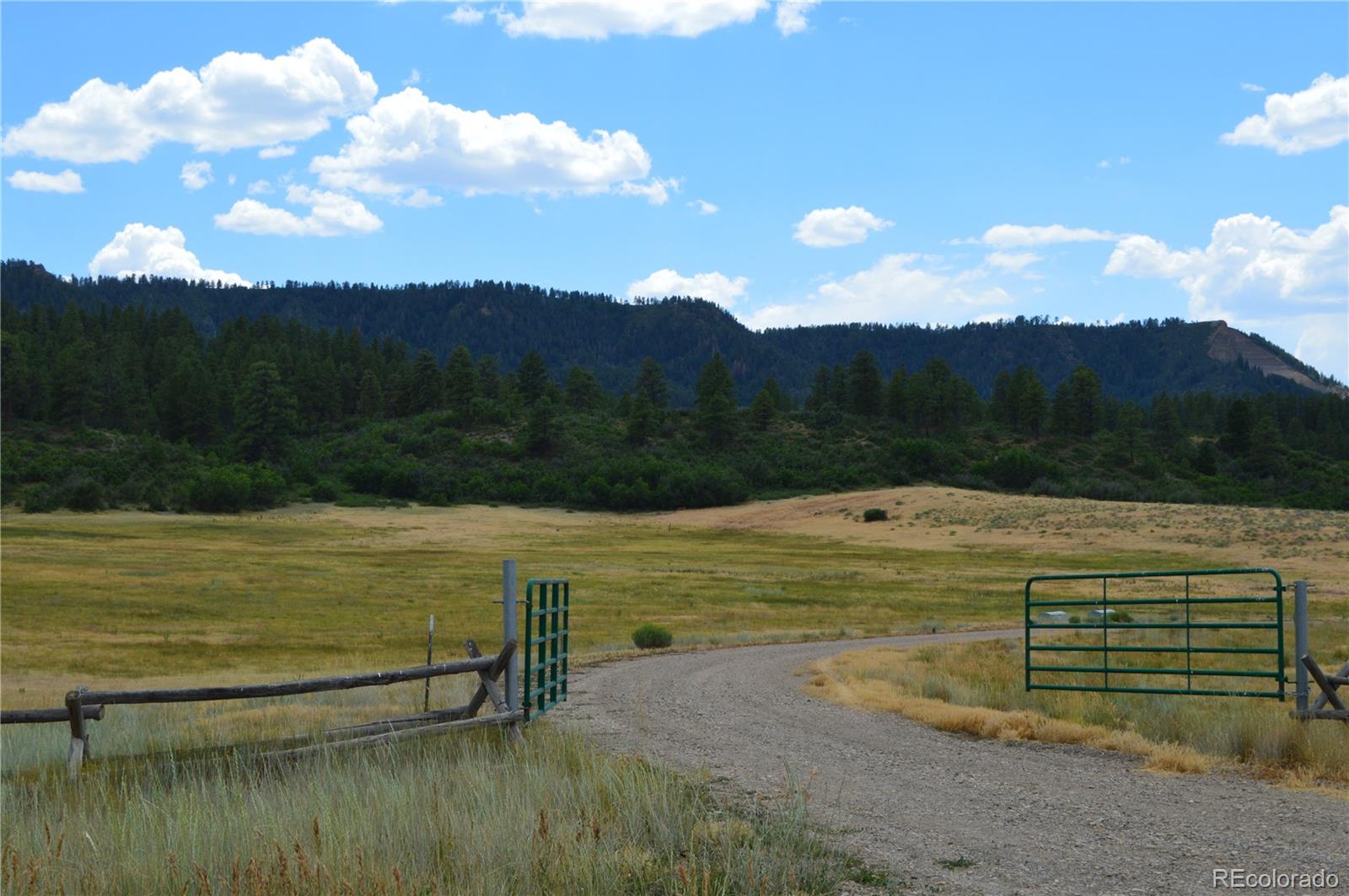 73 Parelli Institute Dr, Pagosa Springs, CO 81147