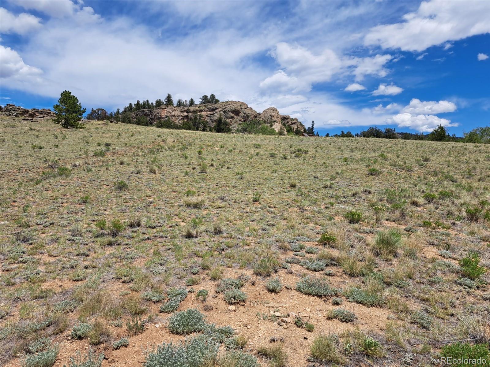 149 Mustang Rd, Jefferson, CO 80456