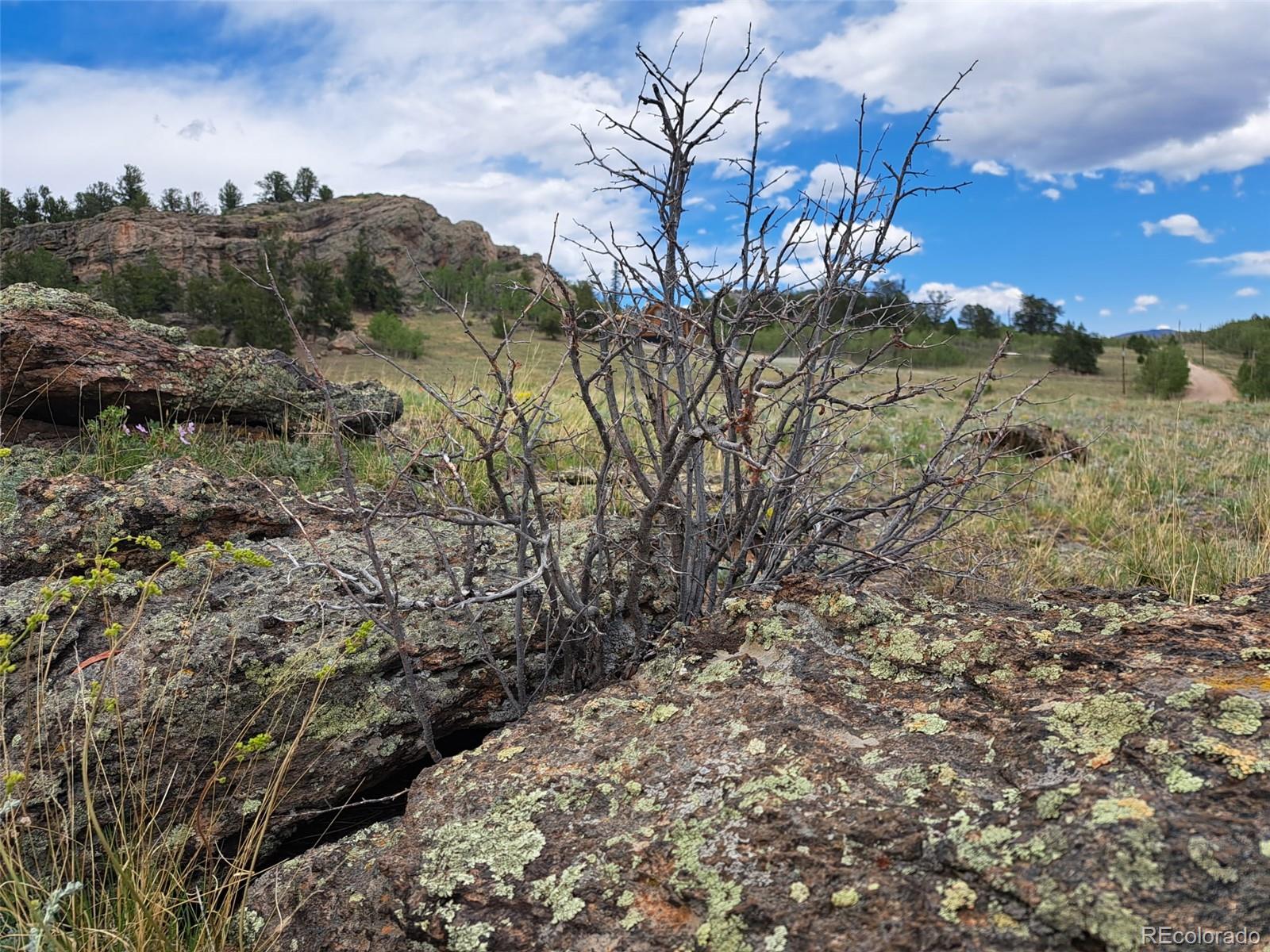 149 Mustang Rd, Jefferson, CO 80456