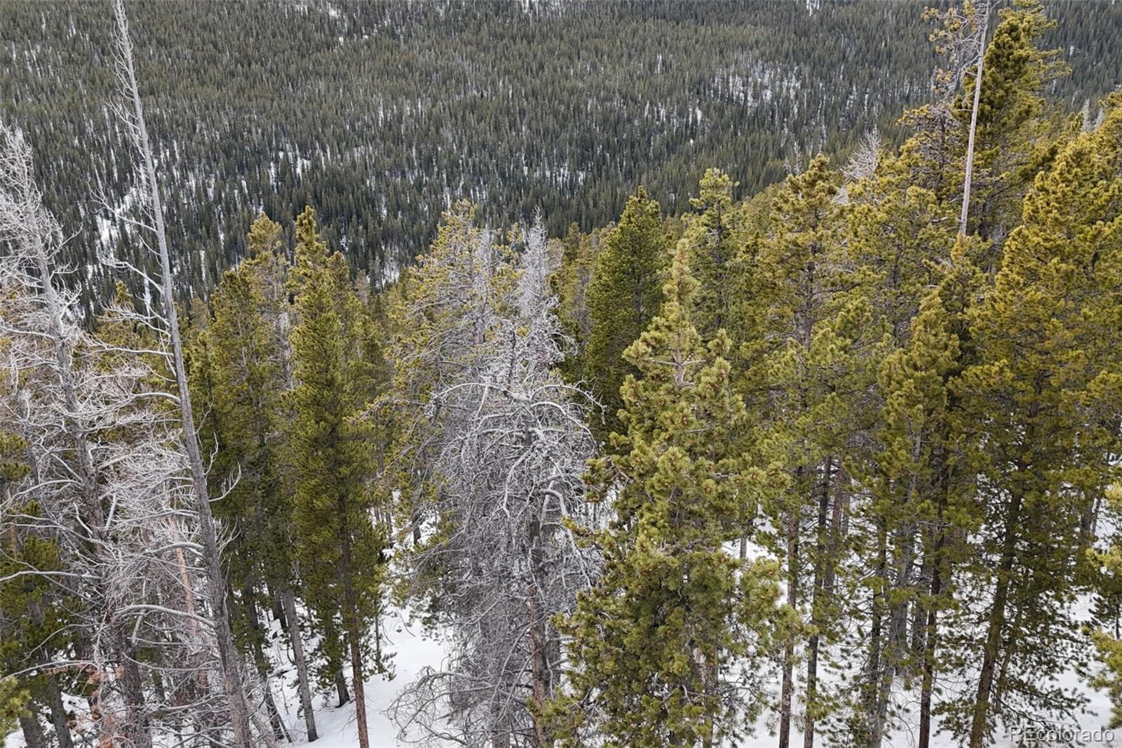 156 Vista Rd Lot 38, Idaho Springs, CO 80452