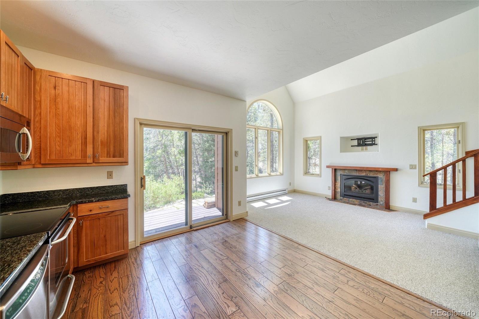 185 Lotus Lon Dr, Leadville, CO 80461