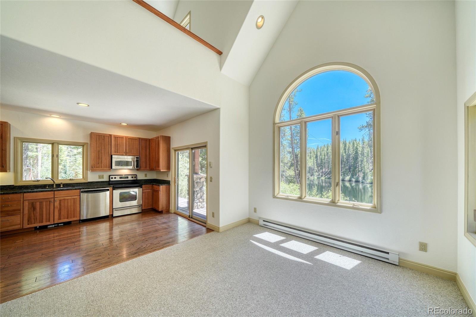 185 Lotus Lon Dr, Leadville, CO 80461