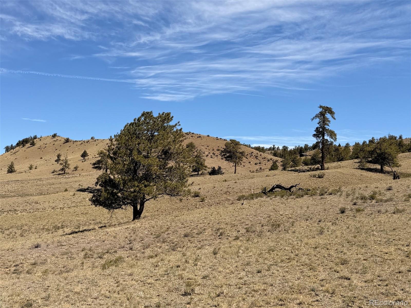 Hardwood Loop, Hartsel, CO 80449