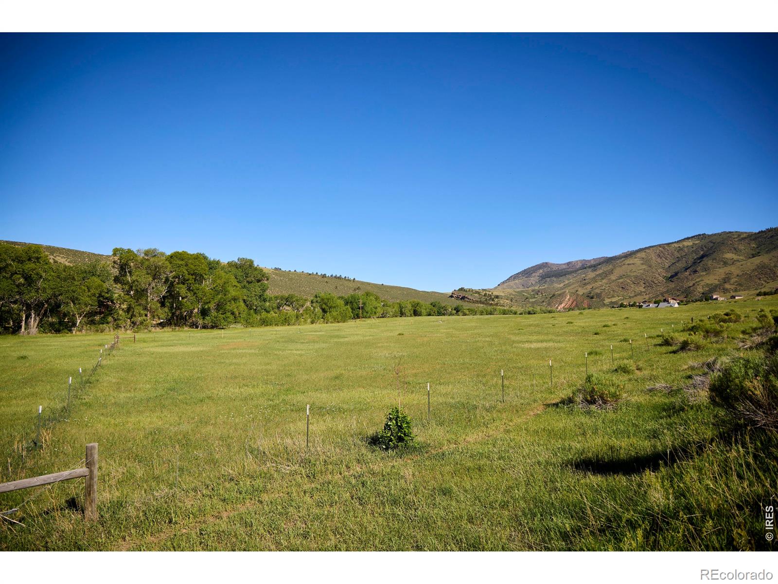 10050 Buckhorn Ridge Way, Loveland, CO 80538