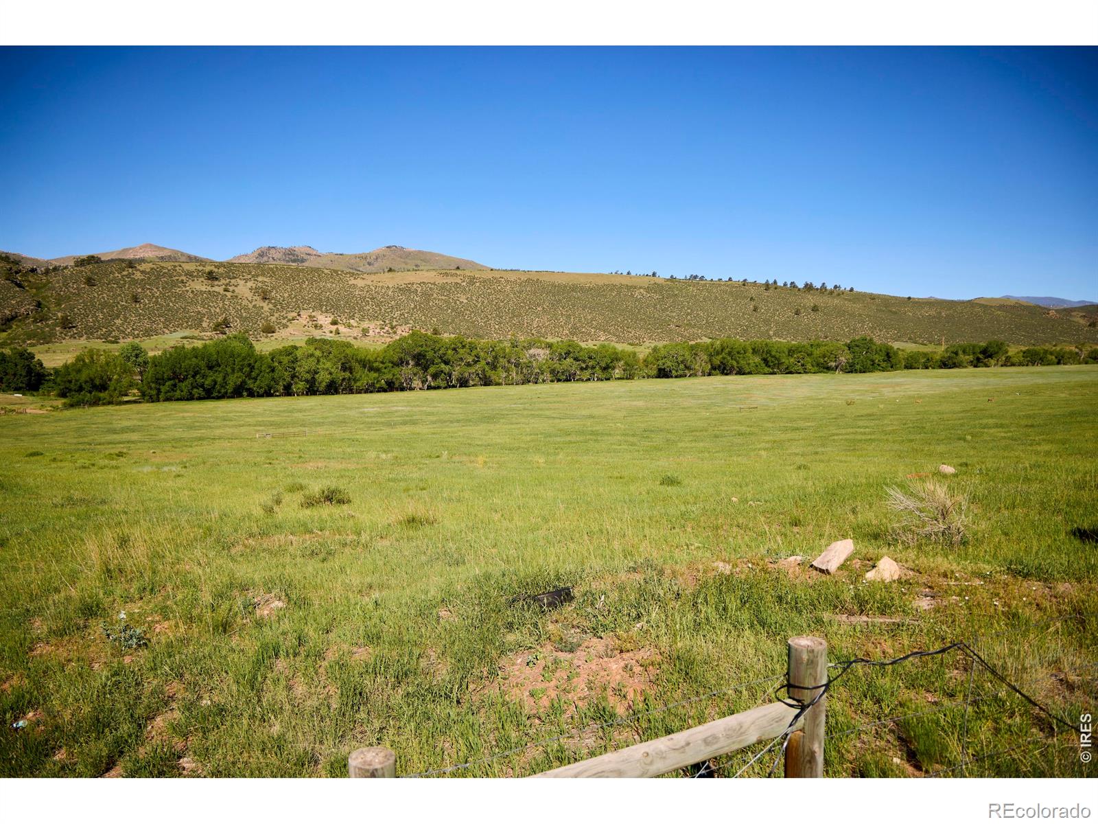 10339 Buckhorn Ridge Way, Loveland, CO 80538
