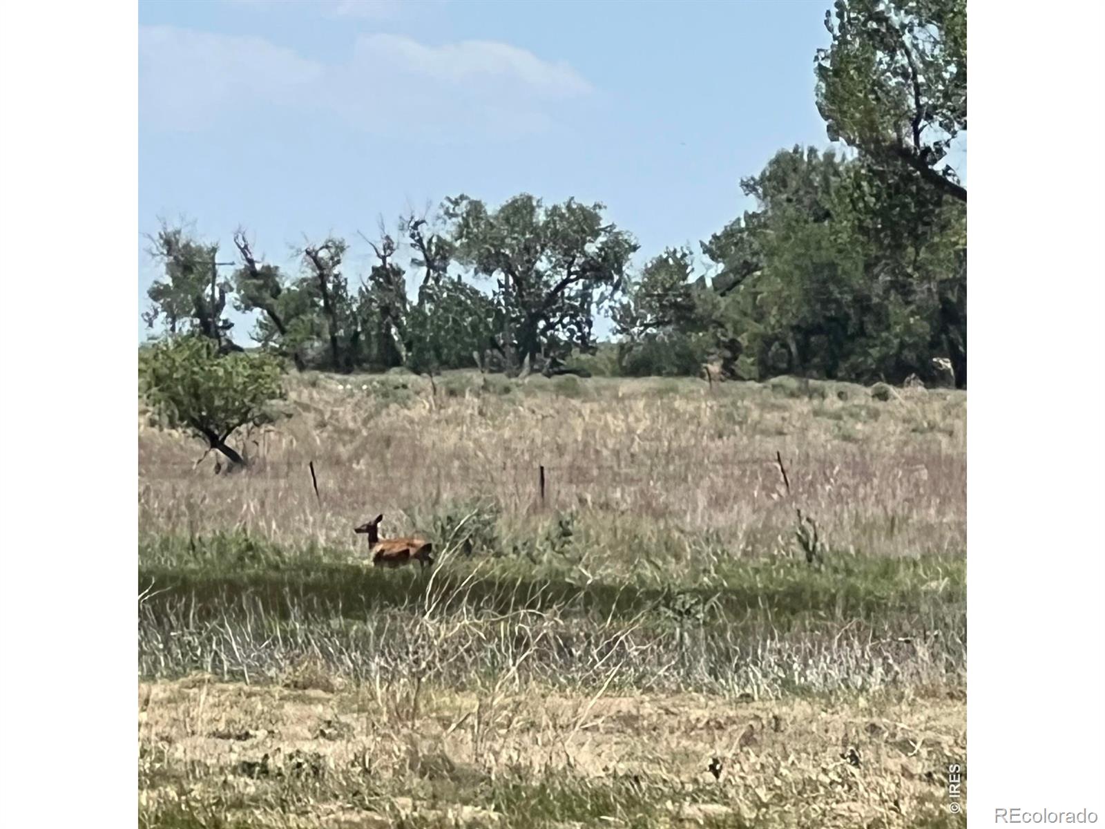 26247 County Road 2, Orchard, CO 80649