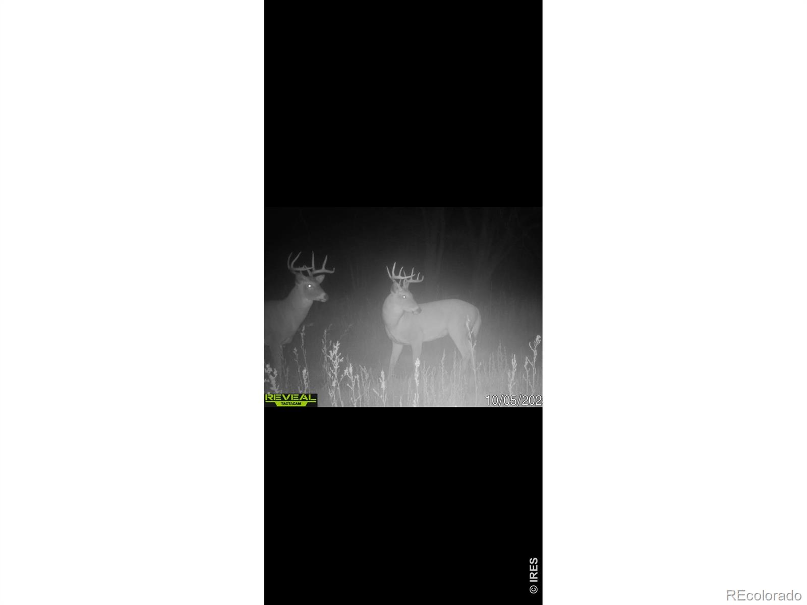 26247 County Road 2, Orchard, CO 80649