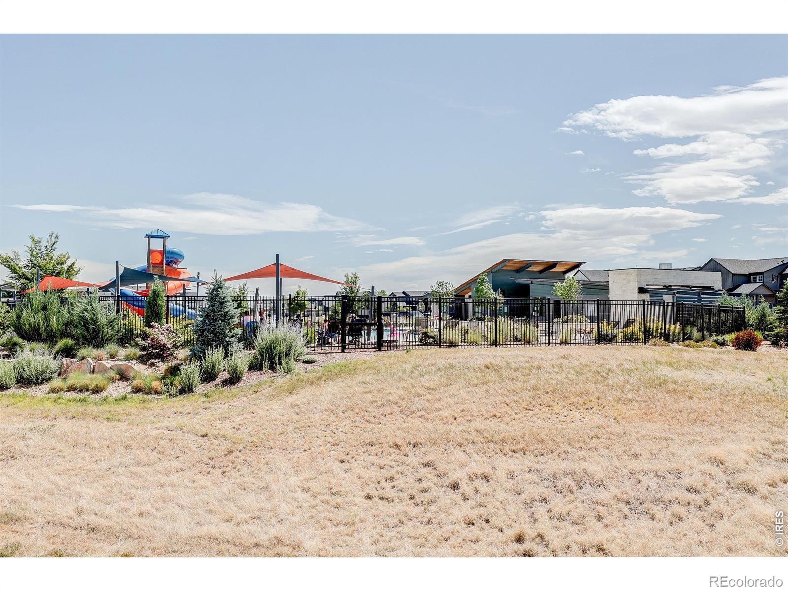 6025 Saddlehorn Dr, Timnath, CO 80547