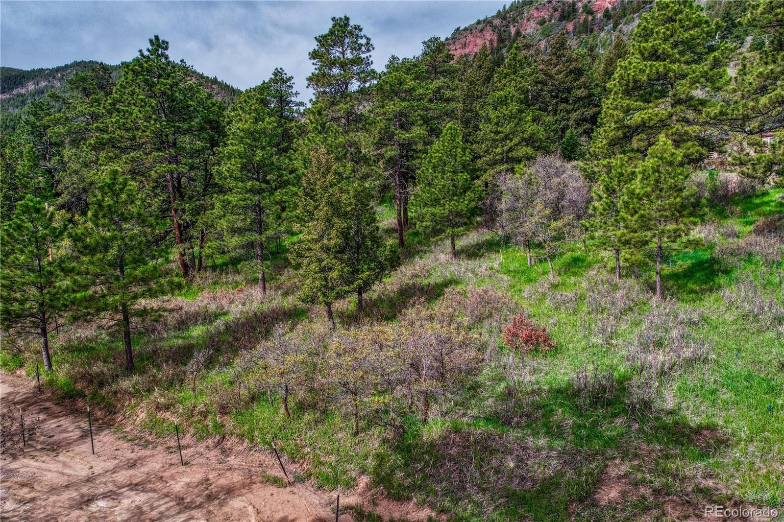 000 Buena Vista Ave, Palmer Lake, CO 80133