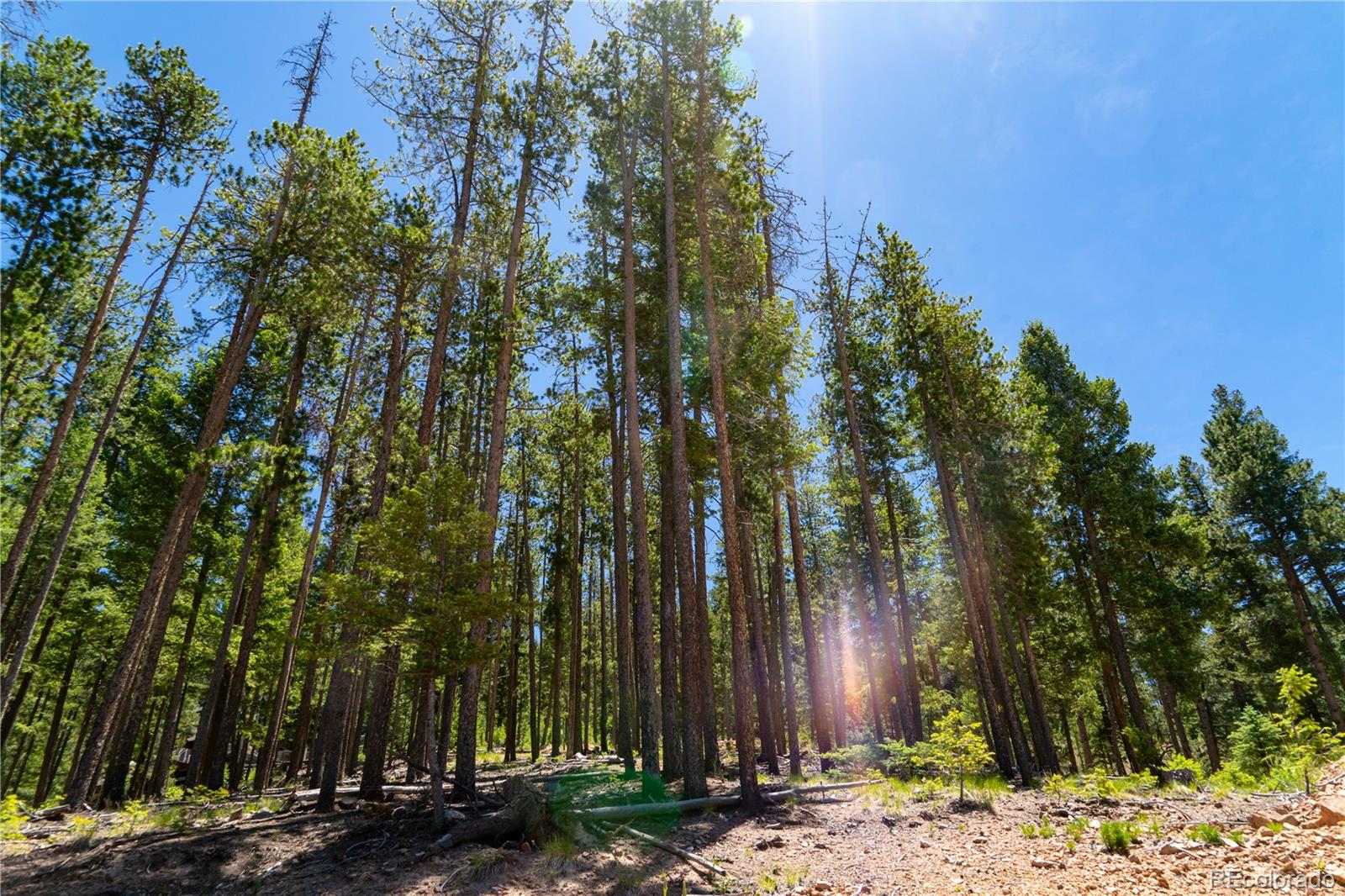 6814 Lynx Lair Rd Lot 3-8, Evergreen, CO 80439