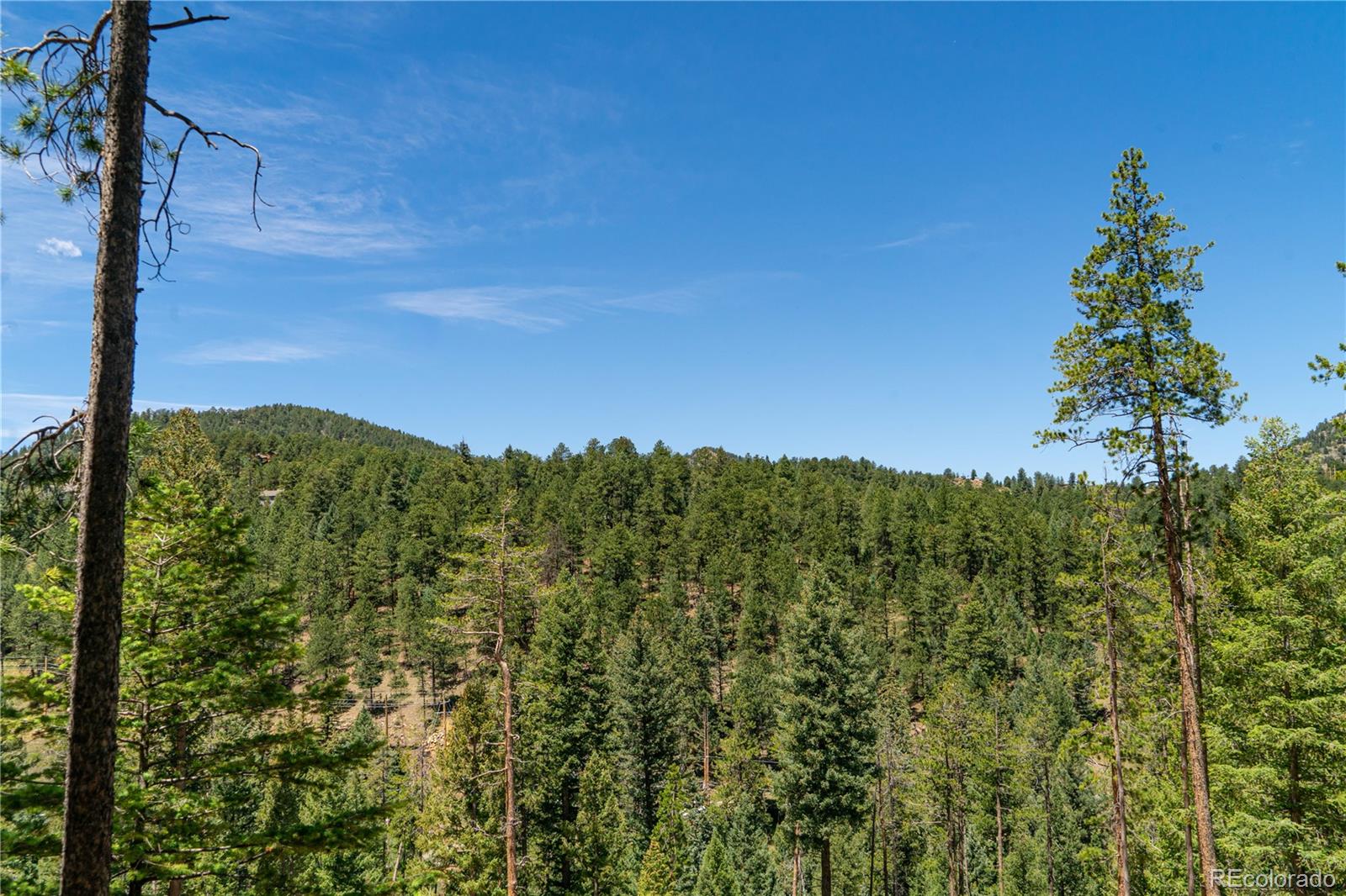 6814 Lynx Lair Rd Lot 3-8, Evergreen, CO 80439