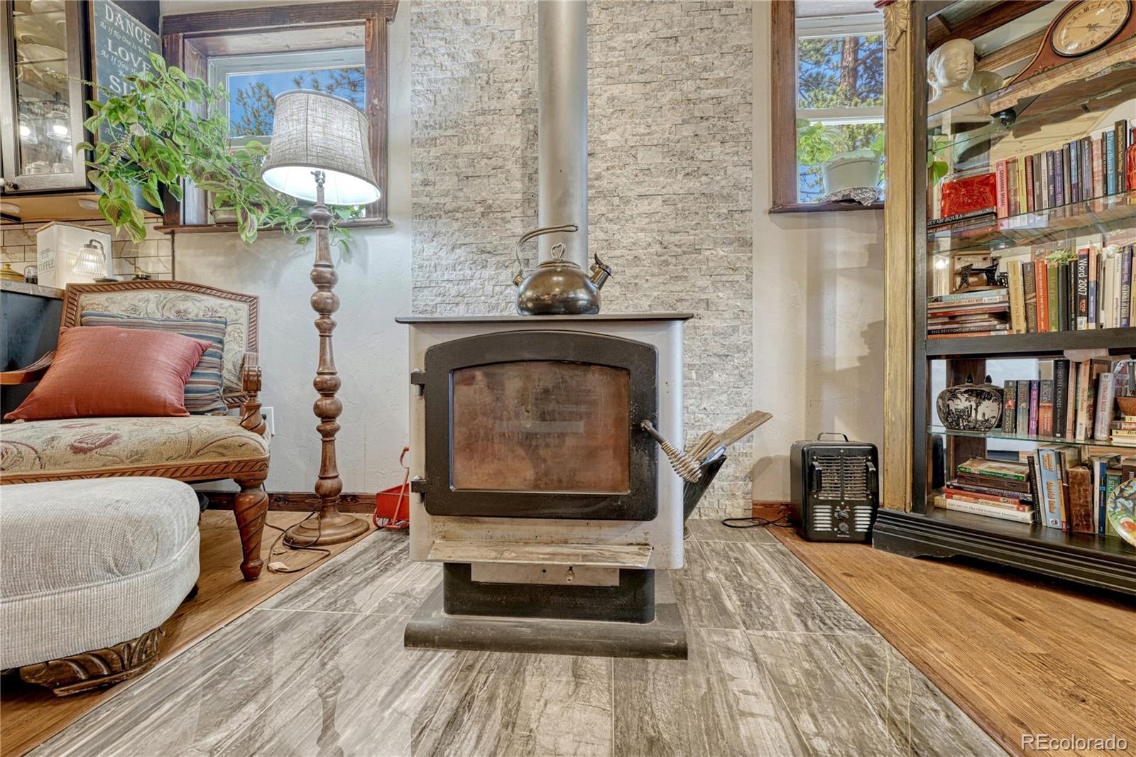 133 Brown St, Bailey, CO 80421