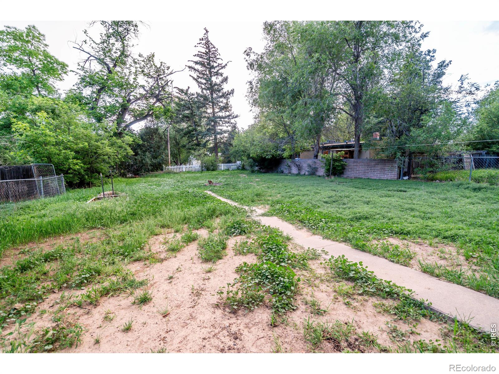 1601 Peterson St, Fort Collins, CO 80525