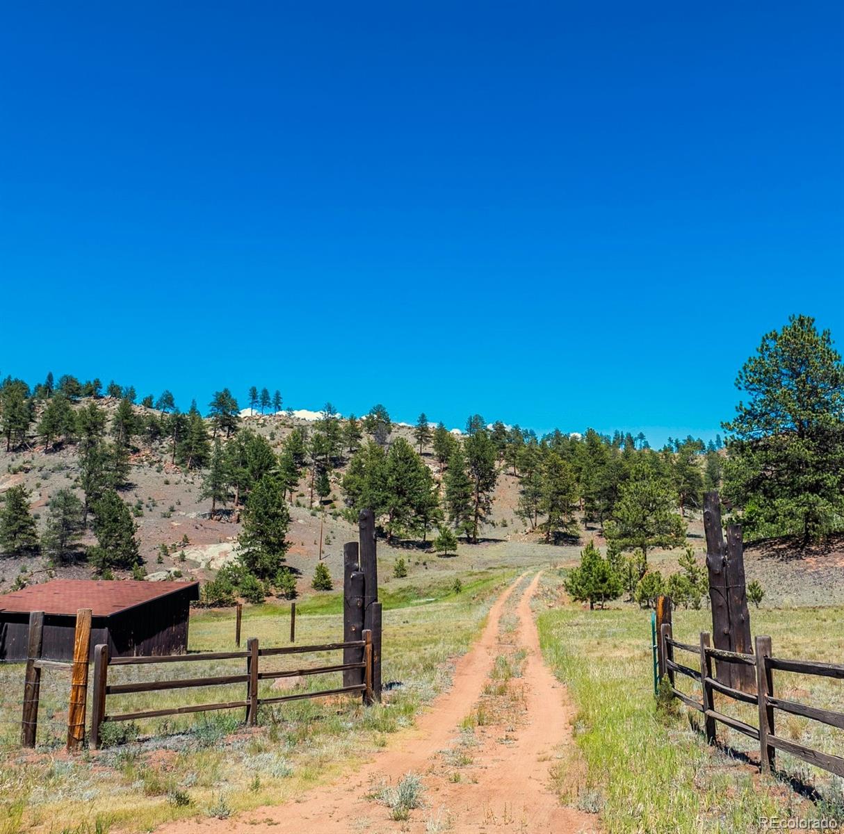 146 Toms Ranch Rd, Lake George, CO 80827