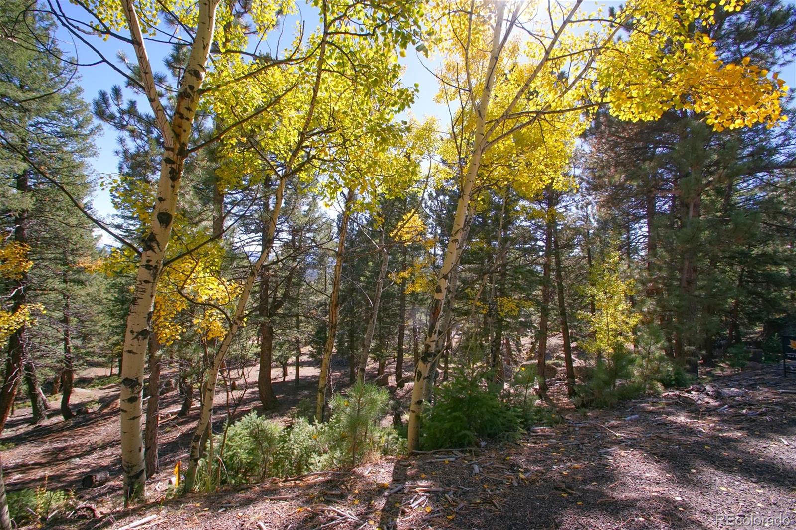 30402 Kings Valley E, Conifer, CO 80433