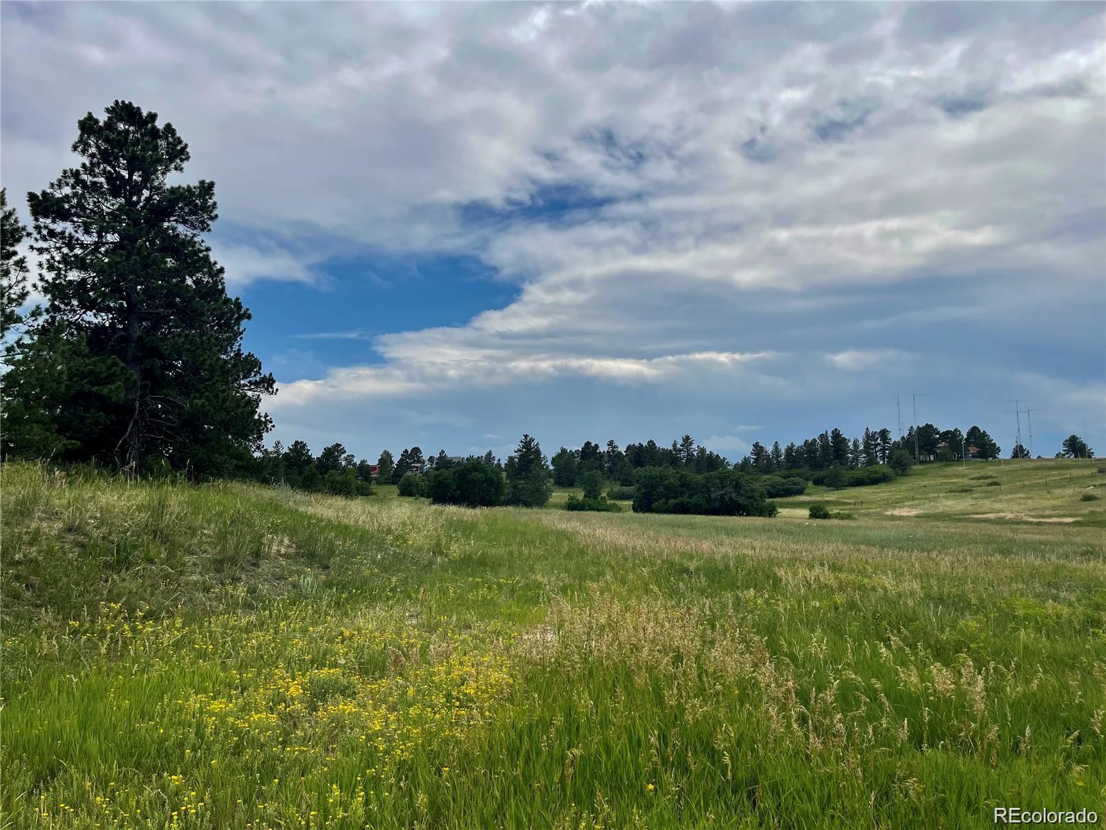 2379 Fox View Trl Lot 81, Franktown, CO 80116