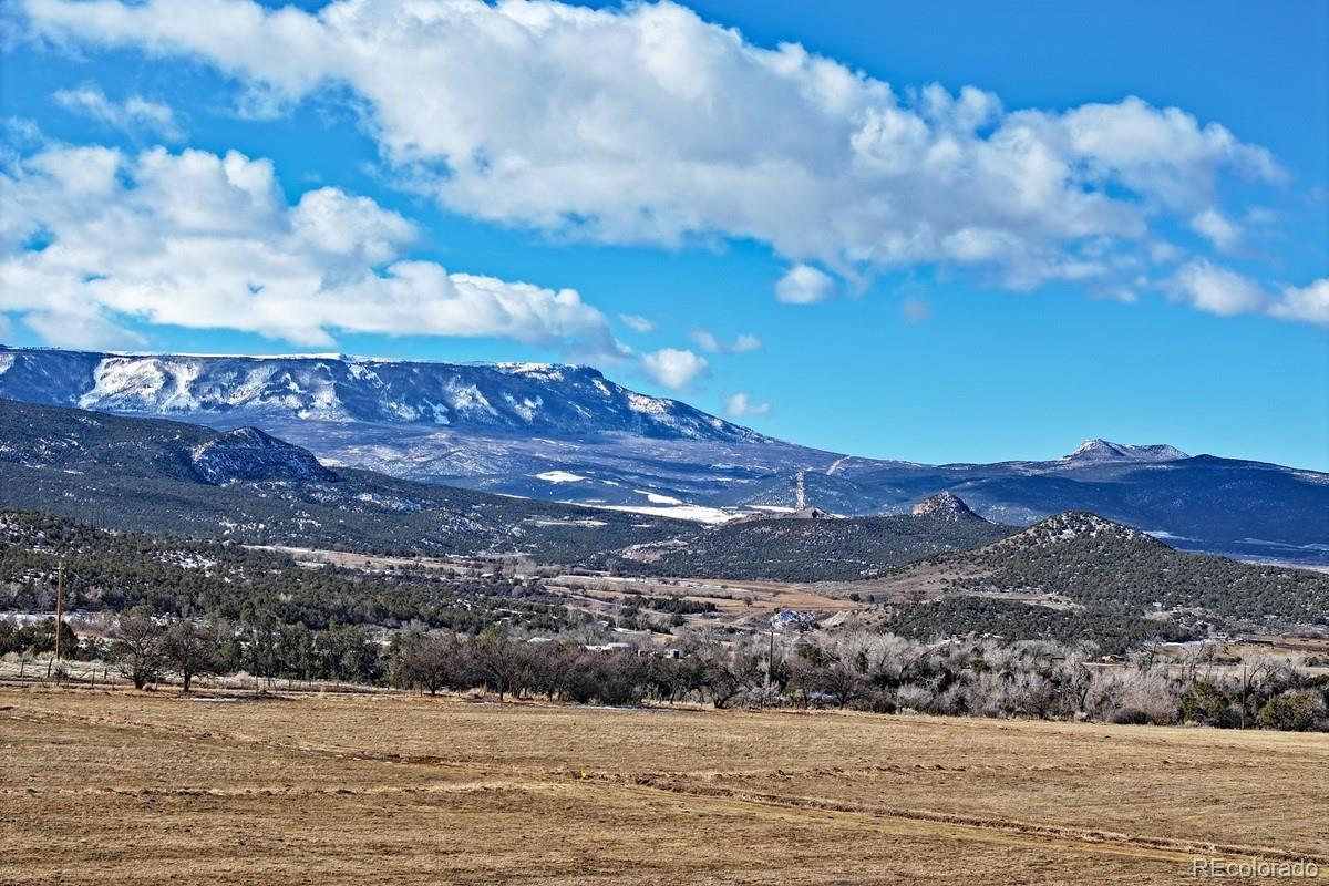 12482 54 7/10 Rd, Molina, CO 81646