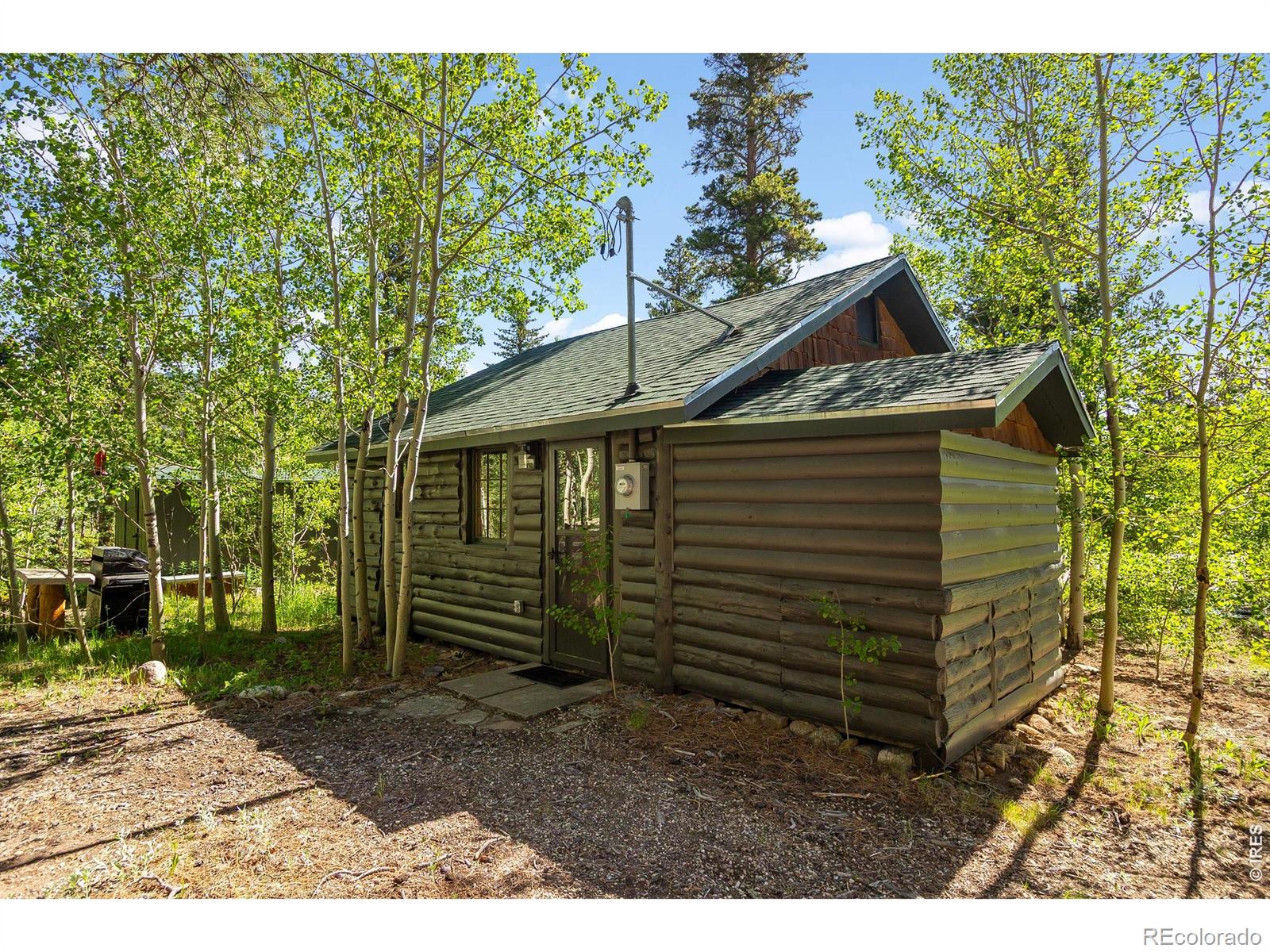 11614 Peak To Peak Hw, Allenspark, CO 80510
