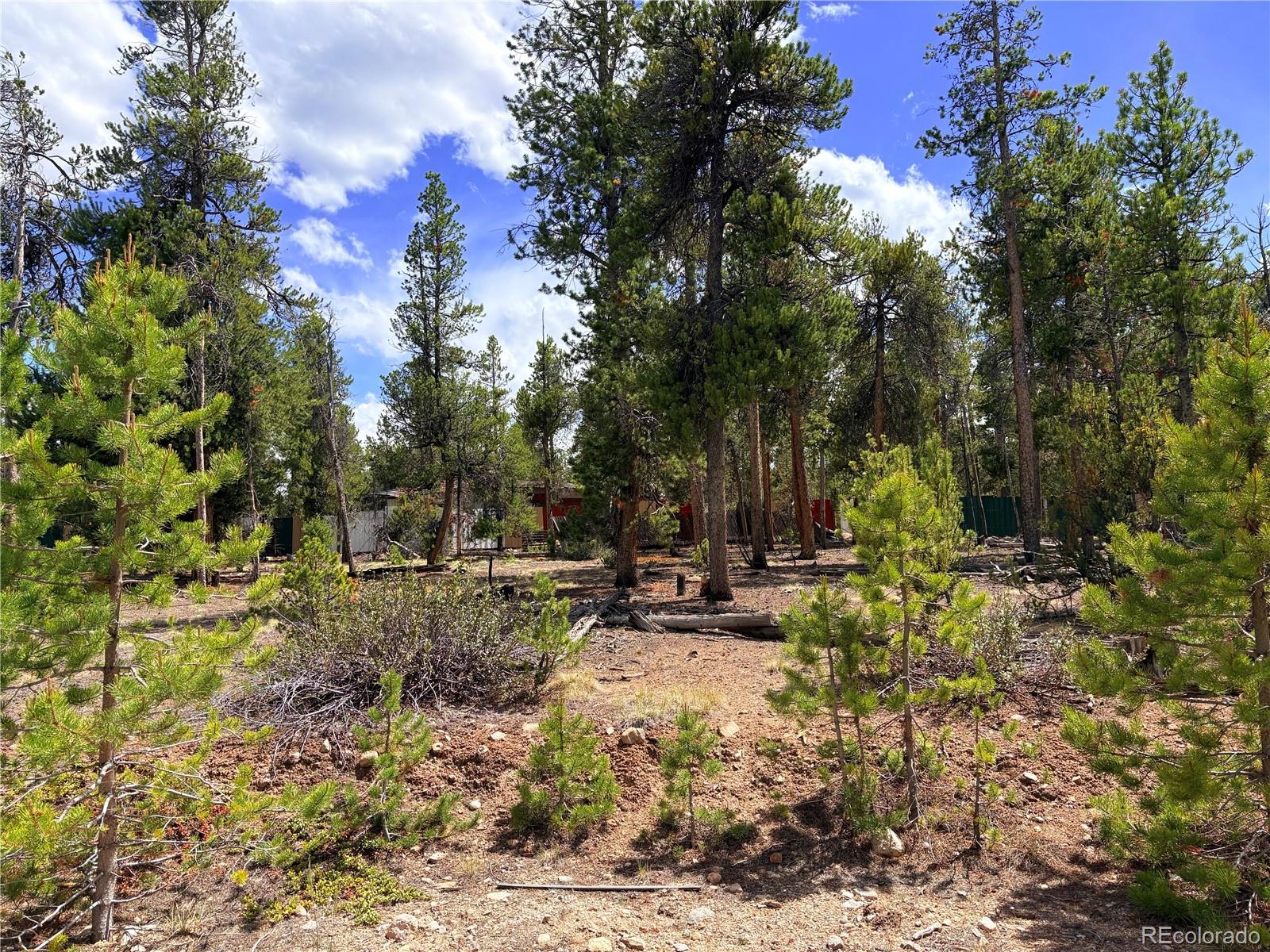 360 Lodgepole Dr, Leadville, CO 80461