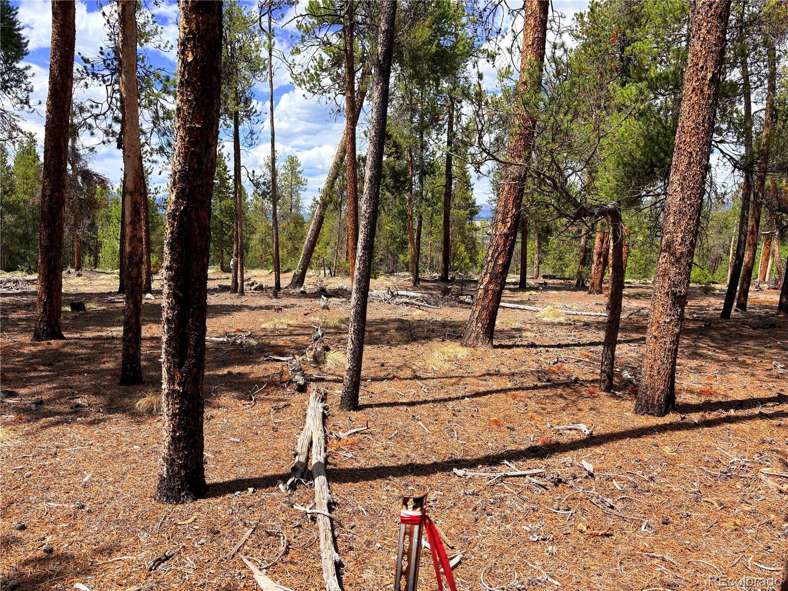 360 Lodgepole Dr, Leadville, CO 80461