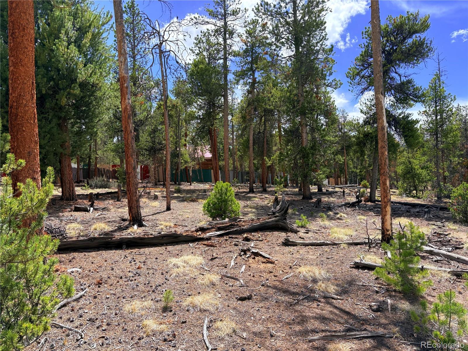 360 Lodgepole Dr, Leadville, CO 80461