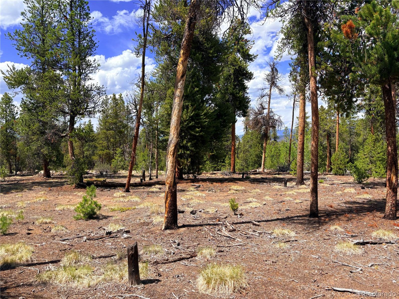 360 Lodgepole Dr, Leadville, CO 80461