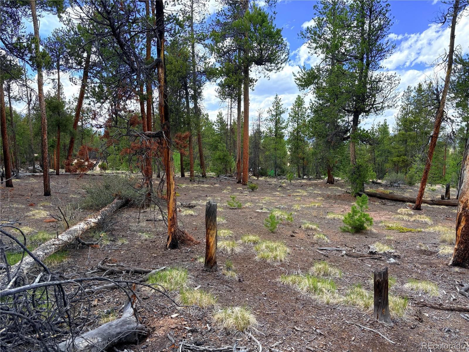 360 Lodgepole Dr, Leadville, CO 80461