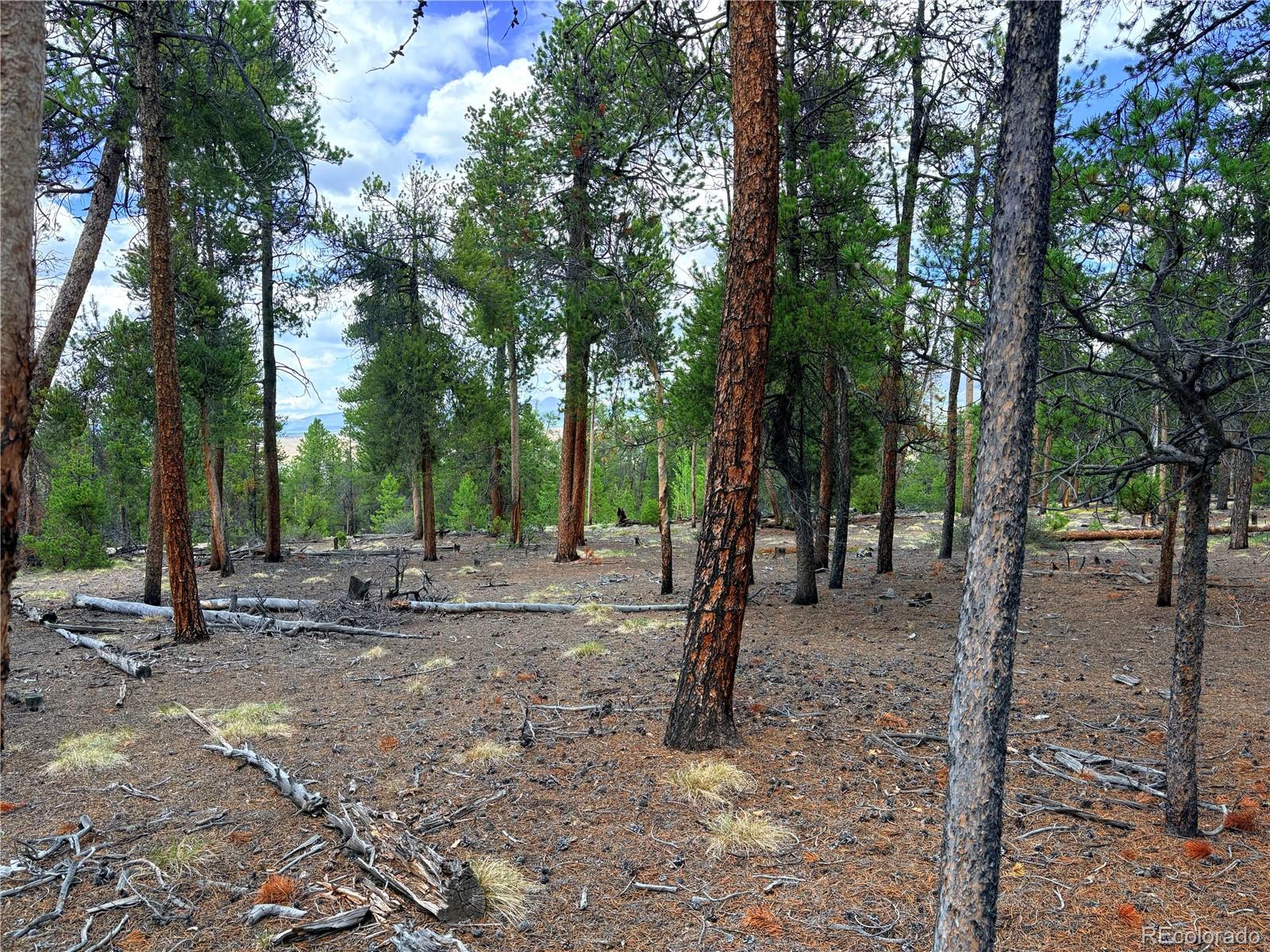 360 Lodgepole Dr, Leadville, CO 80461