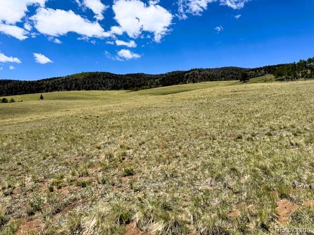 25 Sulky Ct Lot 1118, Hartsel, CO 80449
