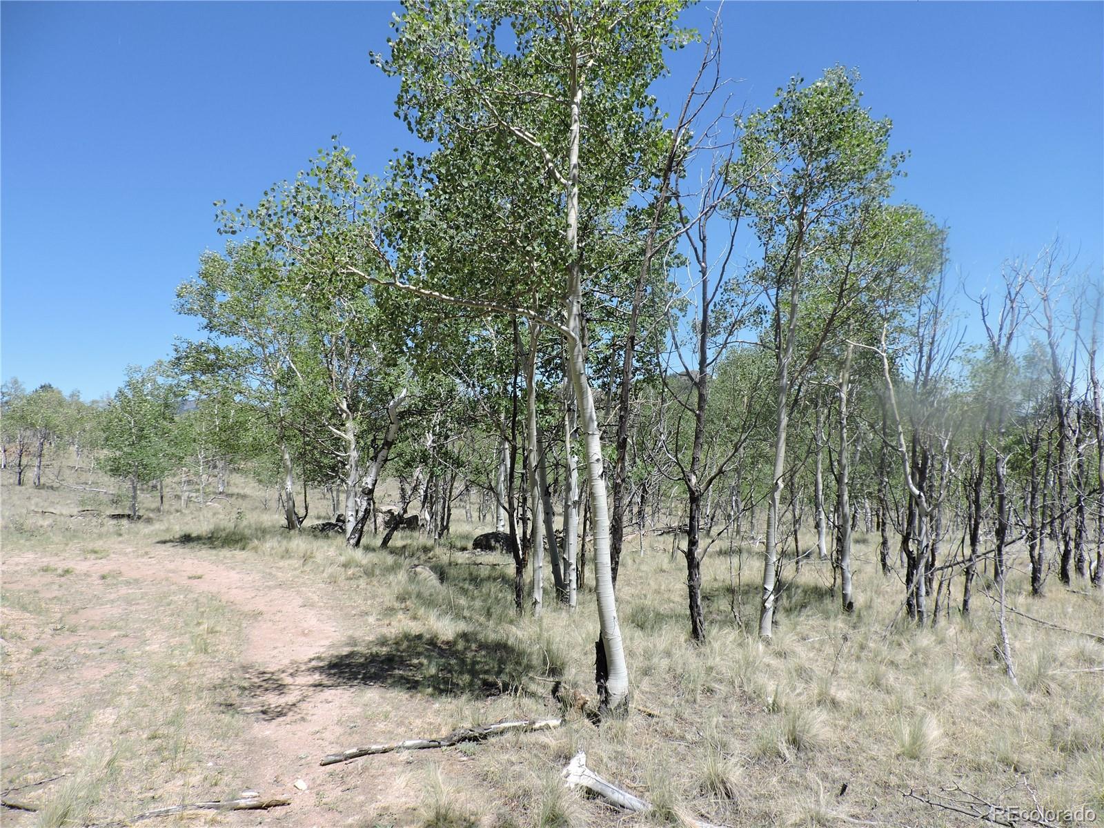 534 Concord Dr, Jefferson, CO 80456