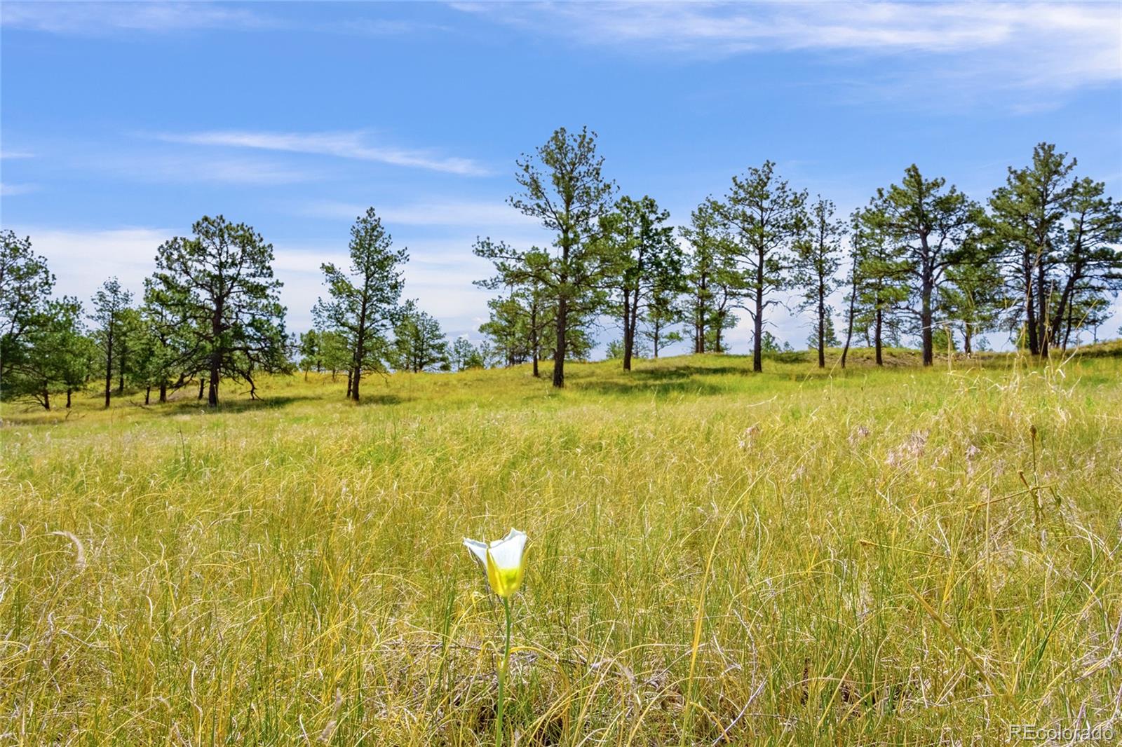 Parcel B County Road 77, Calhan, CO 80808