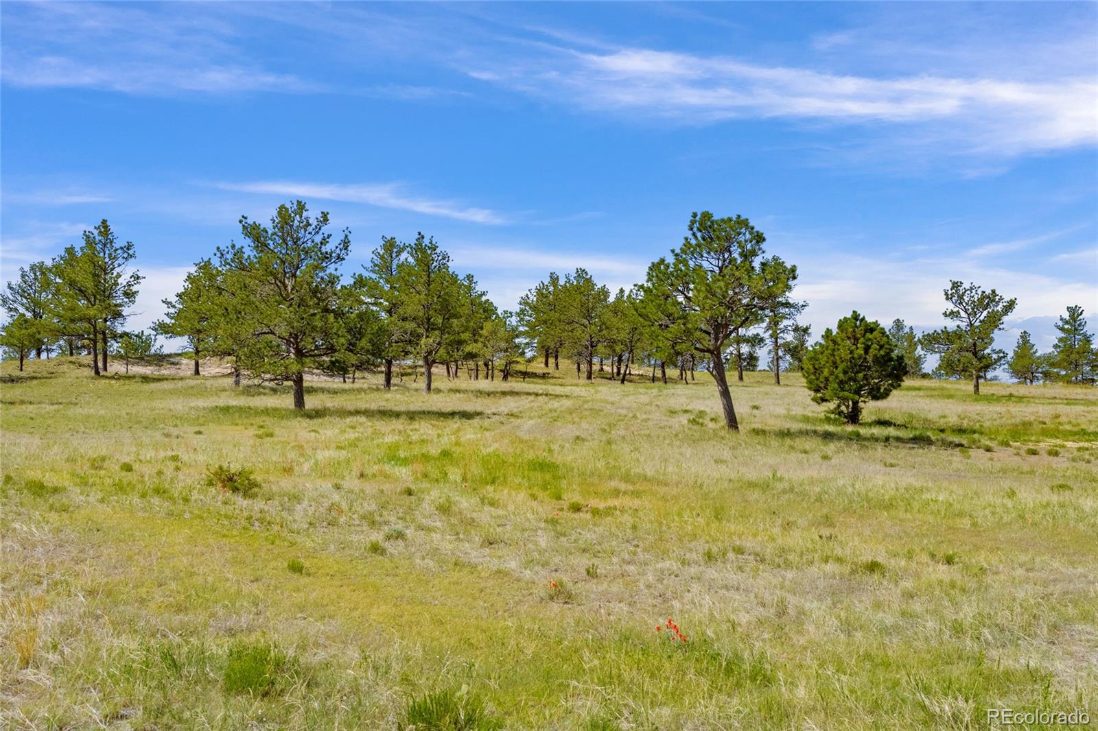 Parcel B County Road 77, Calhan, CO 80808