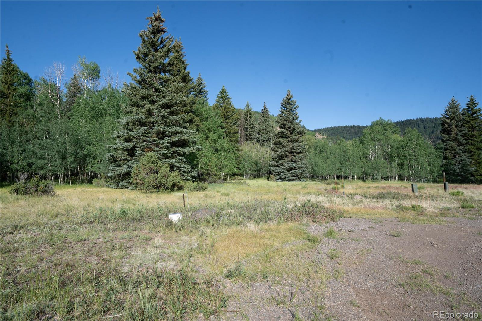 42 W Peregrine, Antonito, CO 81120