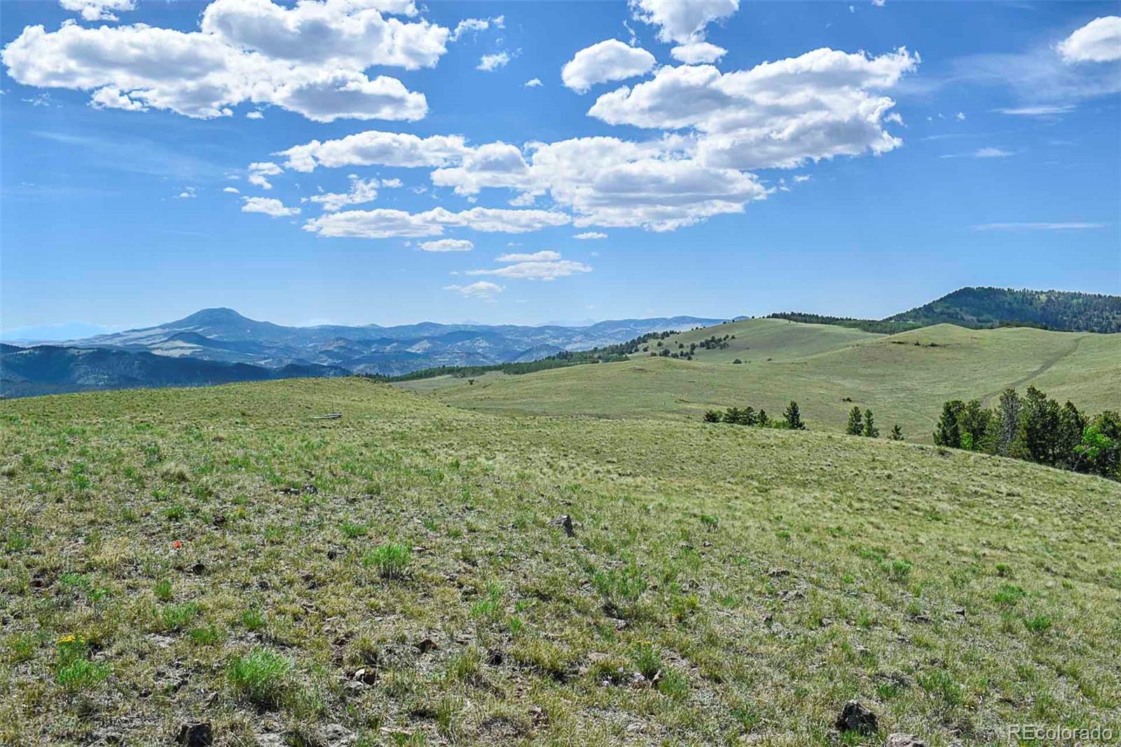 000 Bear Cat Rd, Guffey, CO 80820