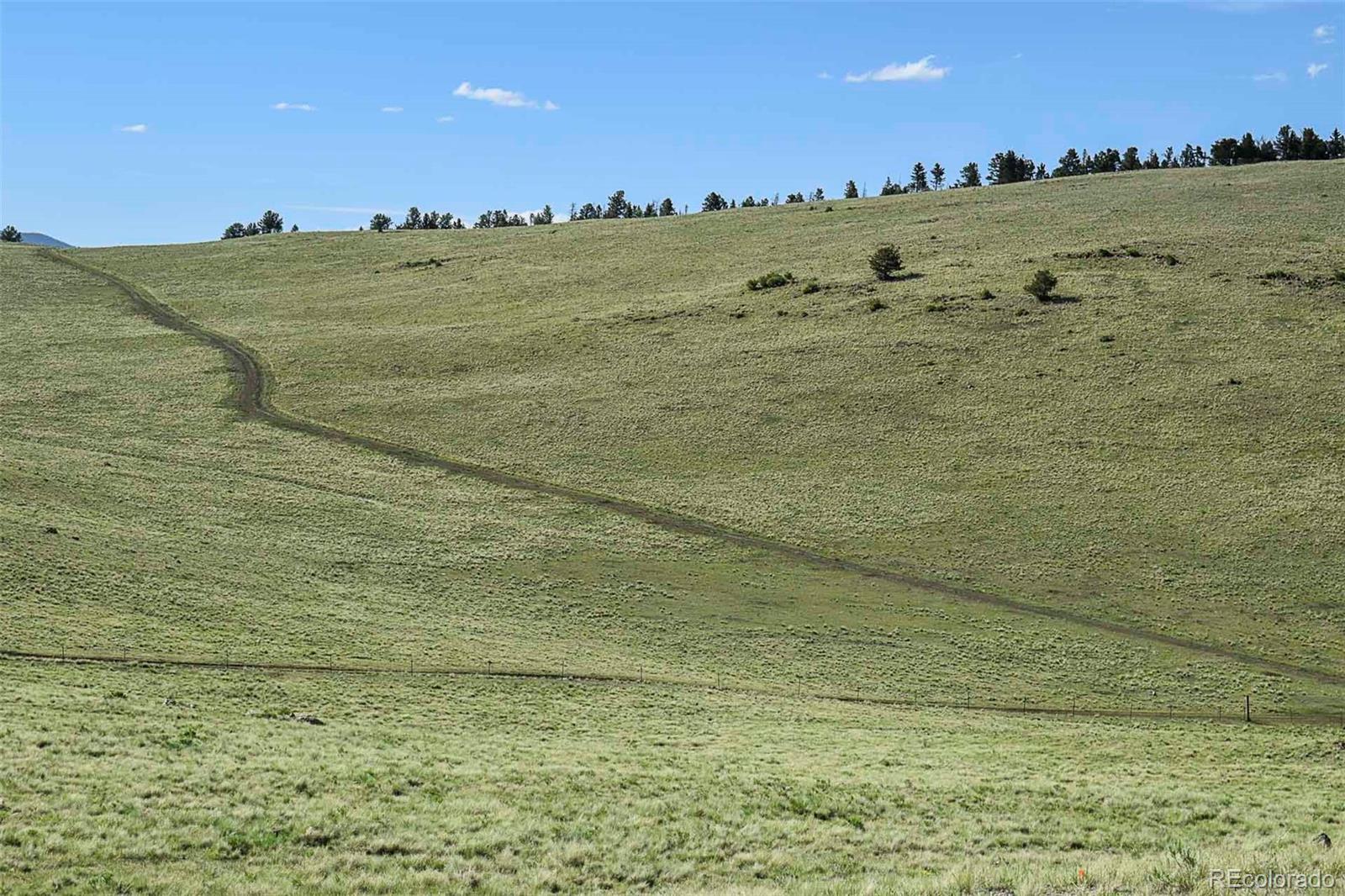 00 Bear Cat Rd, Guffey, CO 80820