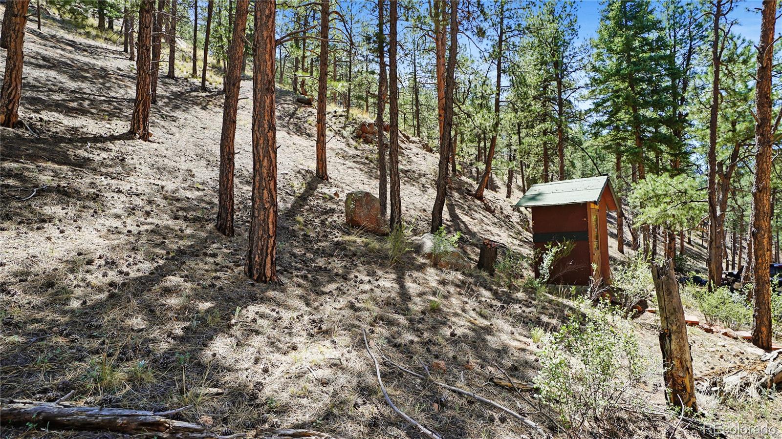 25776 County Road 126, Sedalia, CO 80135