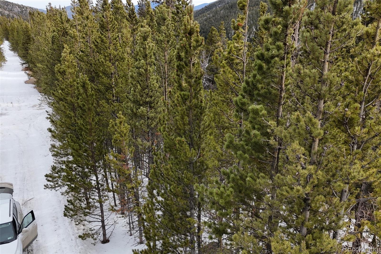 649 Vista Rd, Idaho Springs, CO 80452