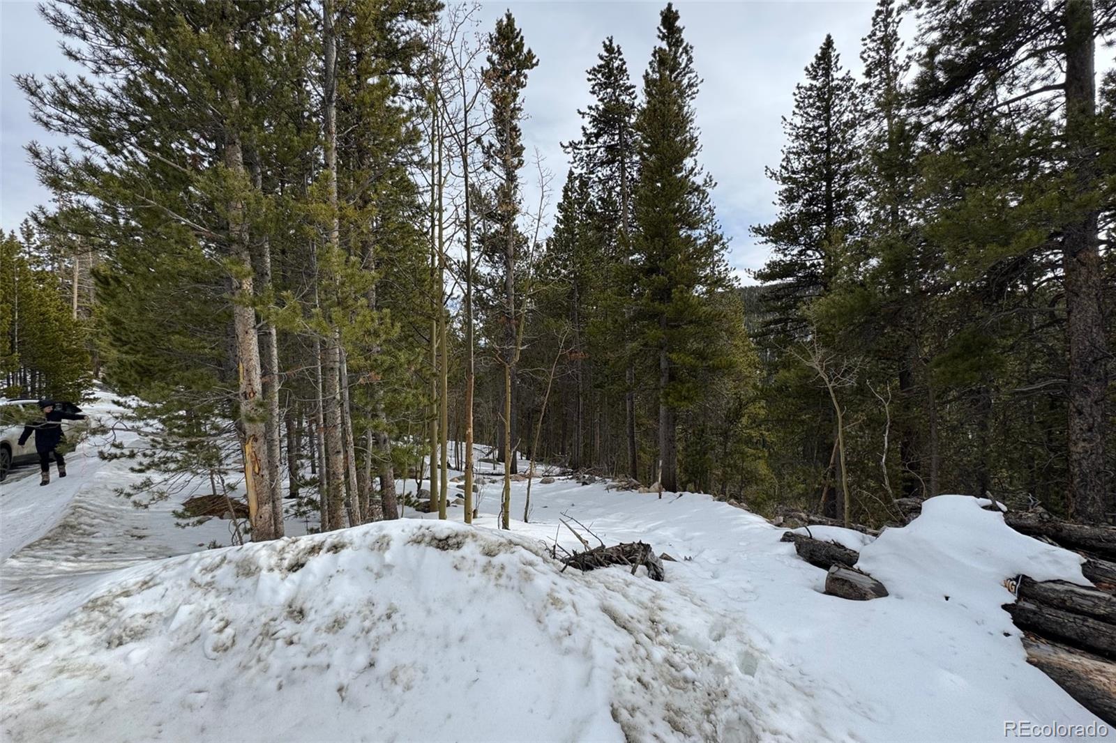 649 Vista Rd, Idaho Springs, CO 80452