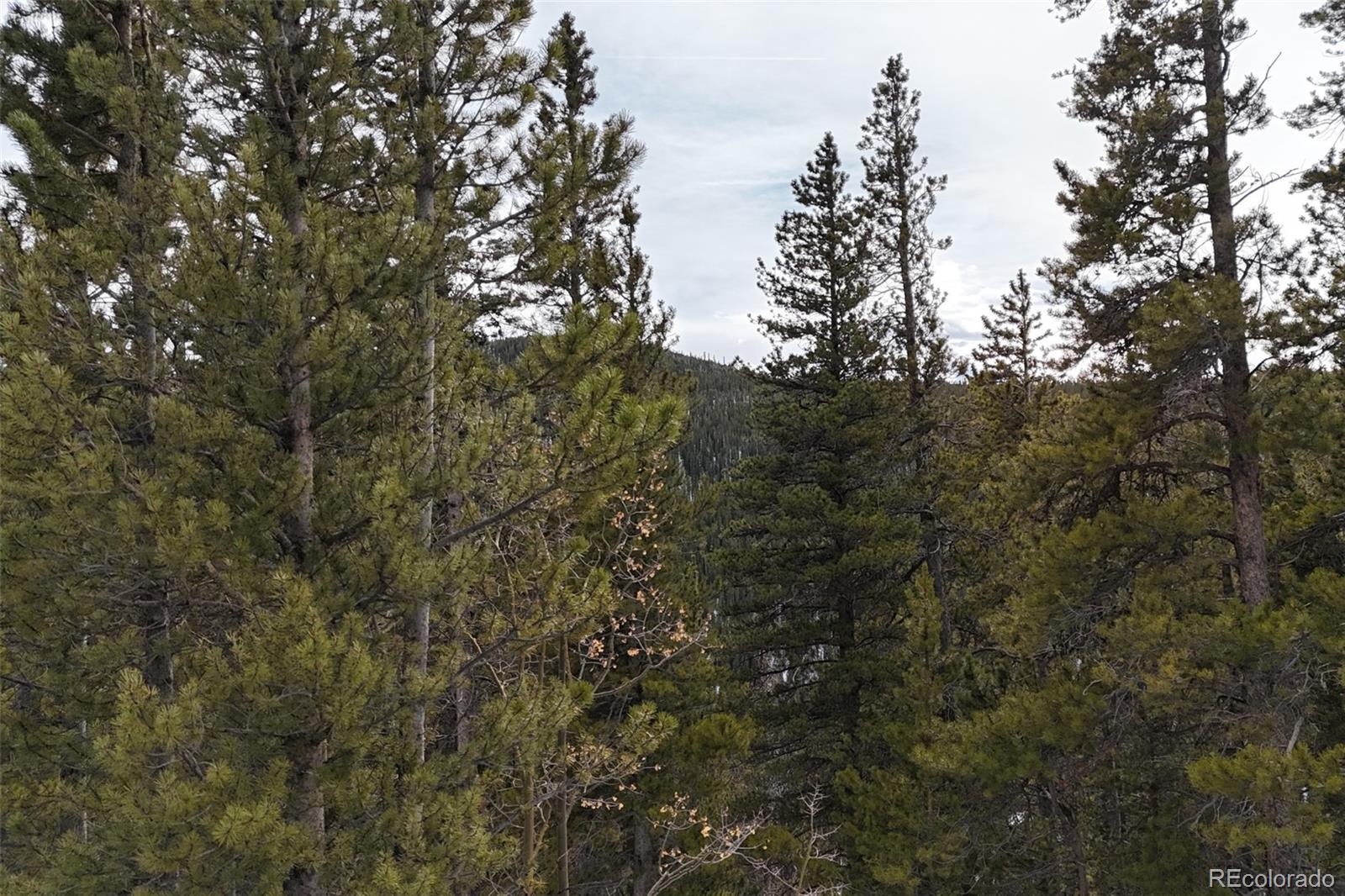 649 Vista Rd, Idaho Springs, CO 80452