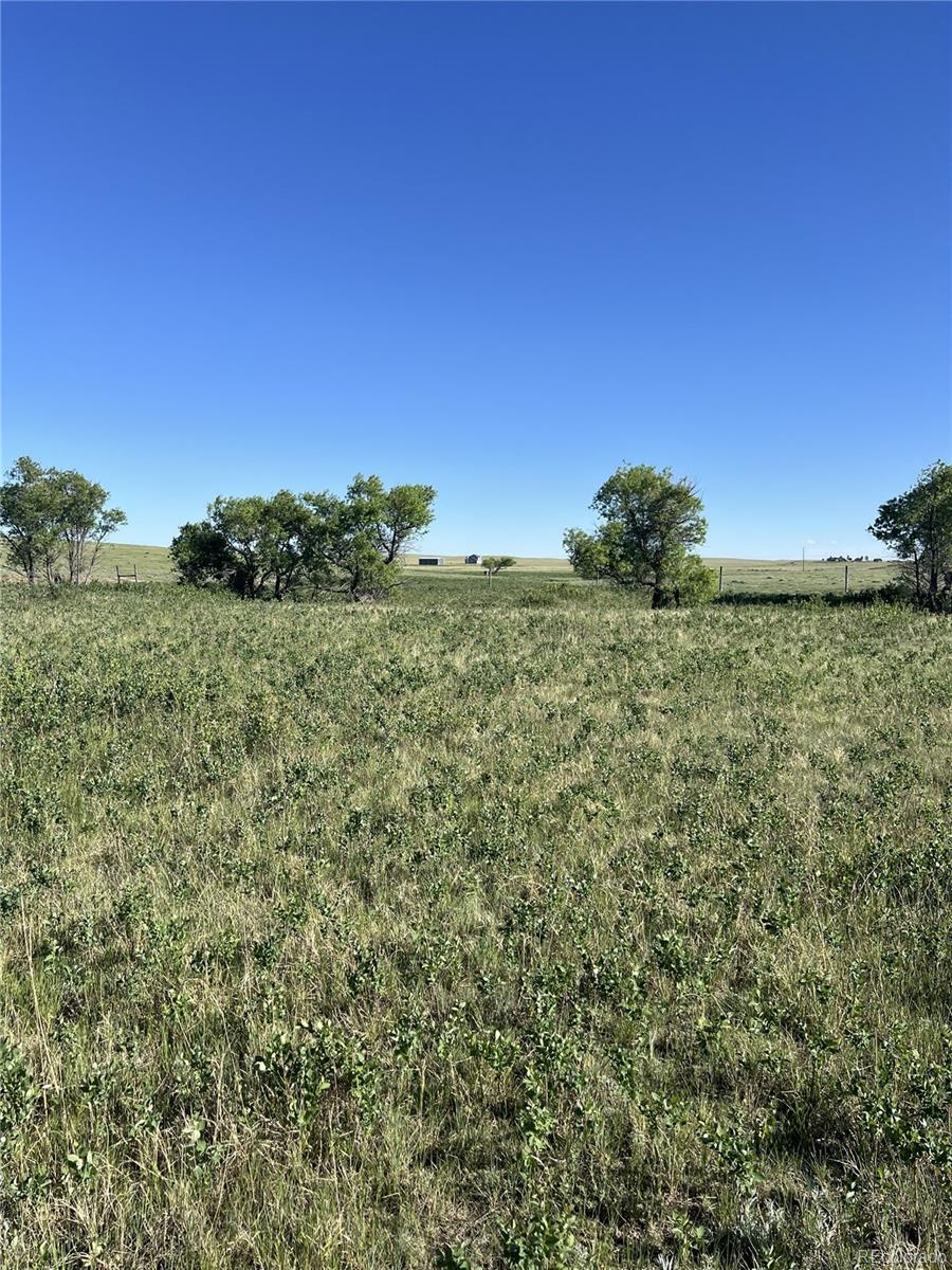 27933 Private Road 139, Simla, CO 80835