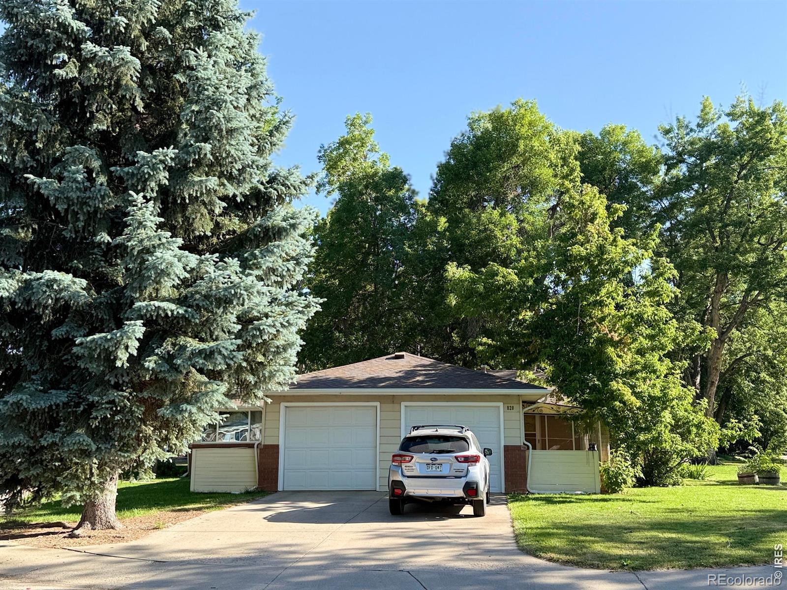 817 Litle Ct, Loveland, CO 80537