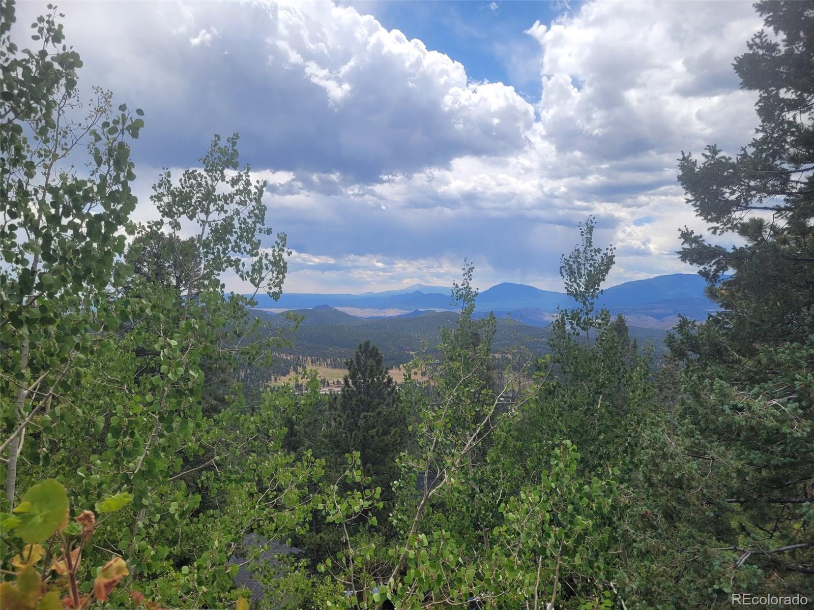 11743 Braun Way, Conifer, CO 80433