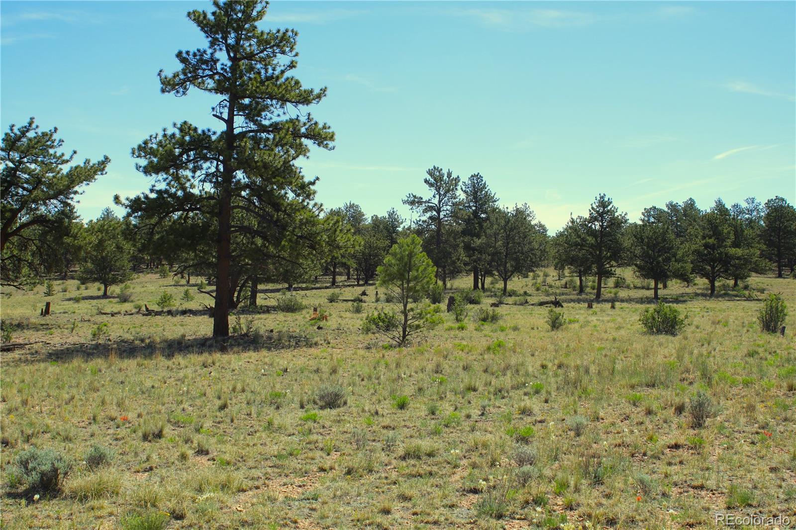 31572 Highway 9, Fairplay, CO 80440