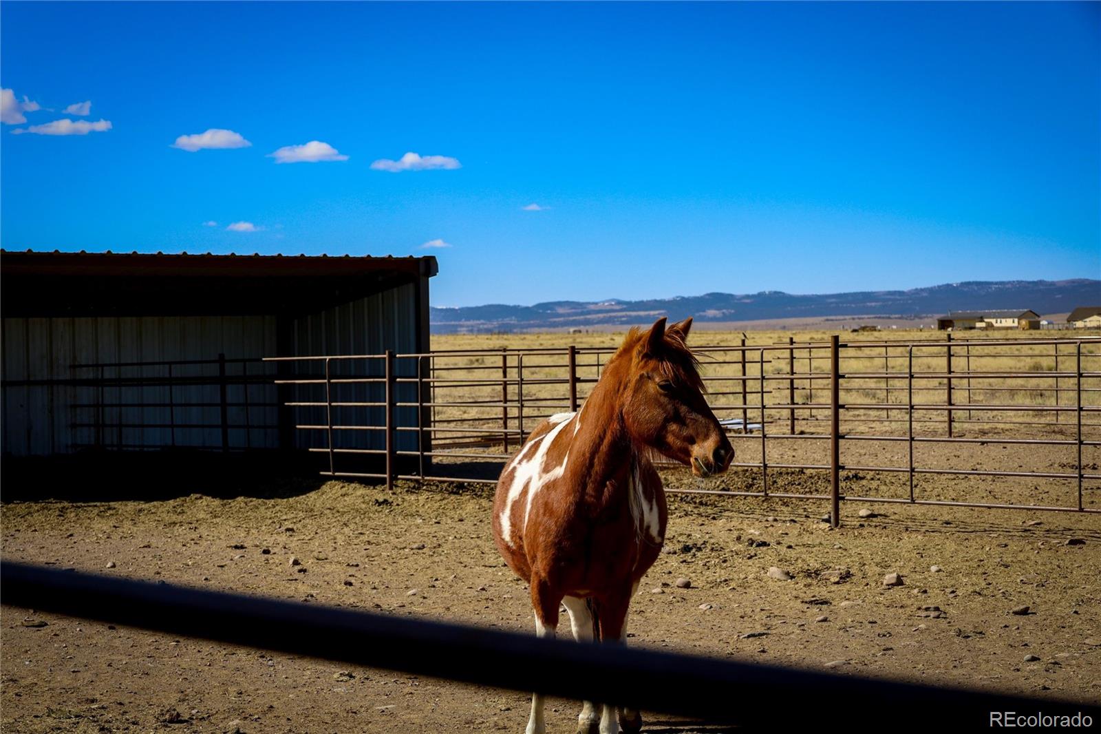 6729 County Road Dd 5, La Jara, CO 81140
